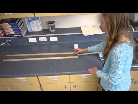 Station 6: Ball Ramp Collision - Newton's Laws of Motion Lab