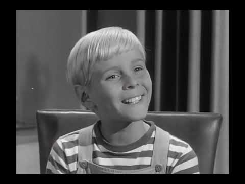 Dennis The Menace - S03E19 - Where There's A Will