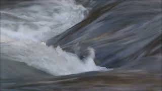 Robin Guthrie - The Girl With The Little Wings