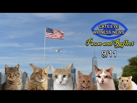 CATS EYE WITNESS NEWS - 9/11 TRIBUTE
