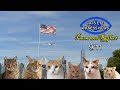 CATS EYE WITNESS NEWS 9 11 TRIBUTE