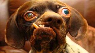 Guns & Horses- Ellie Goulding + Battle Hype- Durrty Goodz + Hello Good Morning Grime Remix!