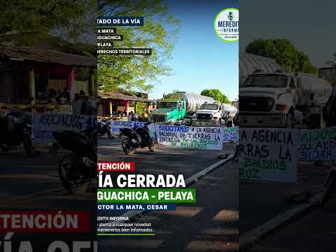 29 de julio de 2026