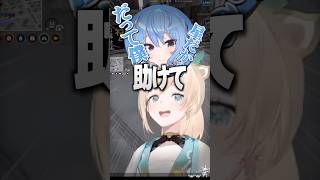 『推しに命乞い』をされ最後に絶叫したござるさん【ホロライブ切り抜き/ホロライブ/さくらみこ/星街すいせい/大空スバル/風真いろは 】#shorts