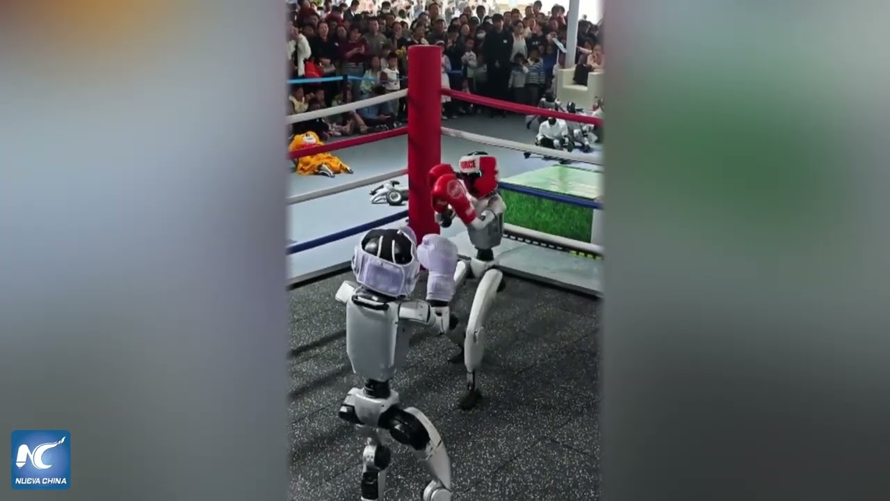 Los robots de IA brillan: desde el baile del león hasta el fútbol