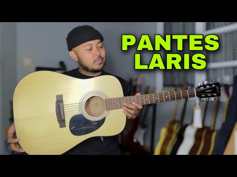 Trying to Buy a Popular Acoustic Guitar! Why Do So Many People Buy It? | Cort AD 810 E OP Review