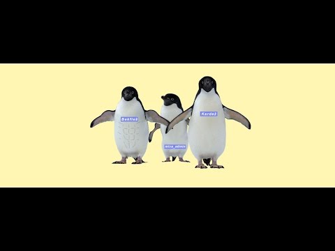 Bekfleš - Noojača (Na svetu spot) (svetu)  Nikola Jokic #NBAVote