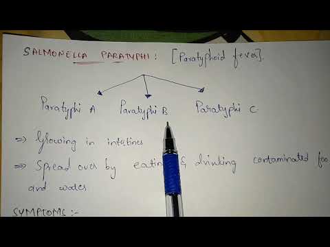 TAENIA tenia SOLIUM BY PHANINDRA GUPTHA