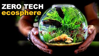 The Simplest Aquarium You'll Ever Make (ZERO TECH)