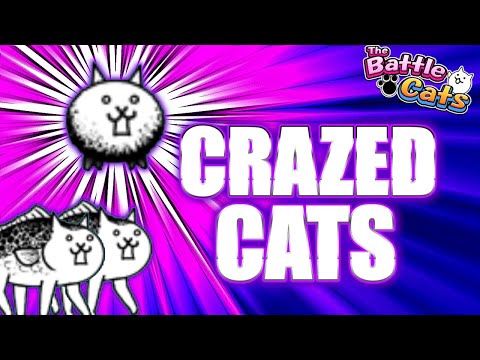 When Should You Get CRAZED CATS? | The Battle Cats