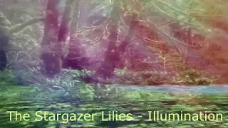 The Stargazer Lilies - Illumination