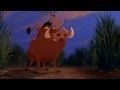 Timon Y Pumba Se Conocen Audio Latino