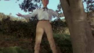 1954SinglesNo1 Secret Love by Doris Day Video