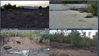 Thumbnail del capítulo