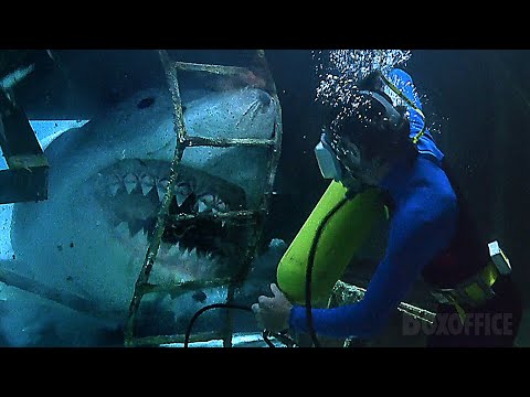Stuck in a wreck with a shark | Jaws: The Revenge | CLIP