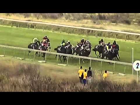 2016.01.30 Cape Flying Championship (RSA) - Gulf Storm