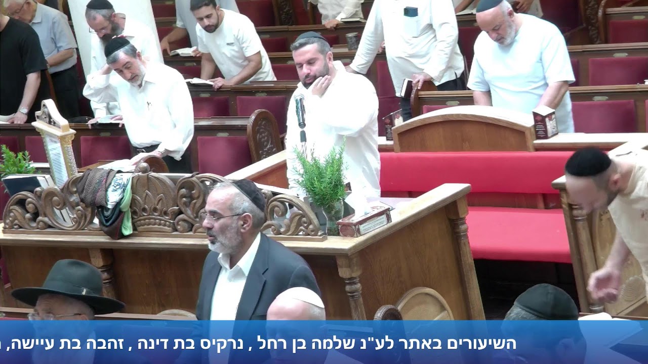 הרב אייל עמרמי - תפילת מנחה וערבית - טז' תמוז תשפ"ו