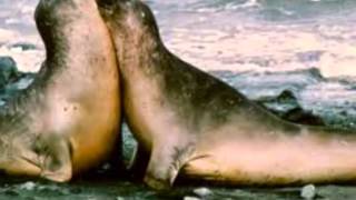 el progreso Amistades Peligrosas