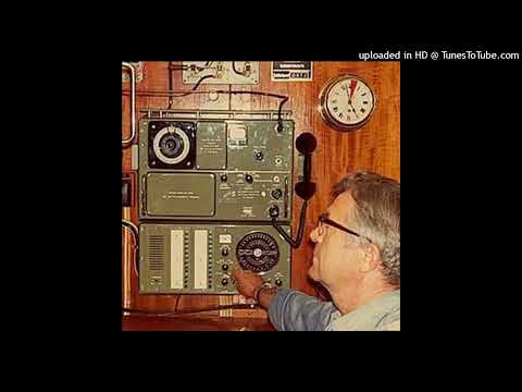 cry2001  voice scrambler