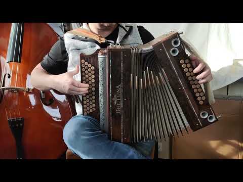 Klangprobe Beltuna Alpstar IV D 21 A Diamant Zirikote