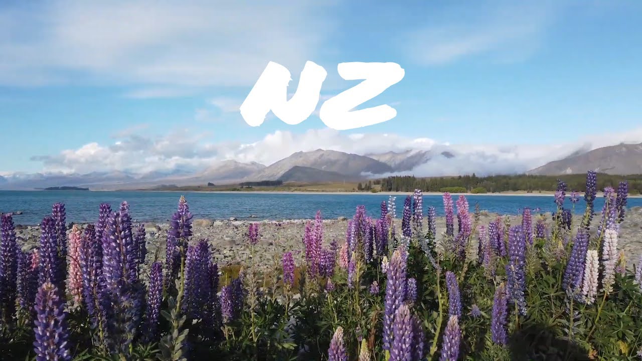 Experience a walking tour across Lake Tekapo Regional Park.