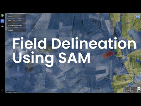 Field Delineation Using Segment Anything Model