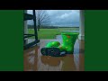 Dinosaur Galoshes
