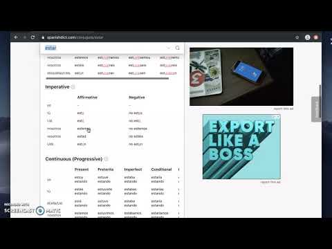 Using Spanish Dictionary