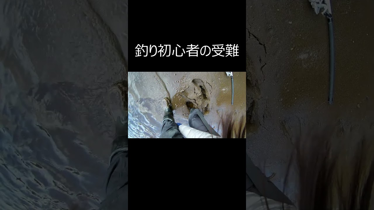 釣り初心者の受難#shorts