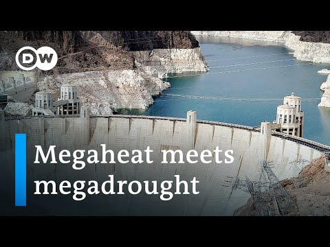 米国西部はここ1000年で最も暑く乾燥した夏に見舞われている? | DWニュース