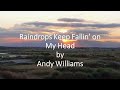 Andy Williams - Raindrops Keep Fallin' on My Head