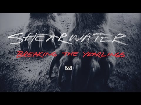 Shearwater - Breaking the Yearlings