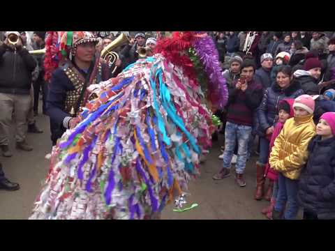 Capra de la Satu Nou 2017 - 2018