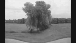 Art #6: Drifters - Patrick Watson