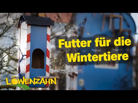Vogelfutterstation basteln - So könnt ihr Tiere im Winter unterstützen - Löwenzahn - ZDFtivi