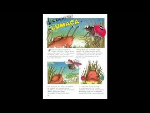 Una canzone per una lumaca