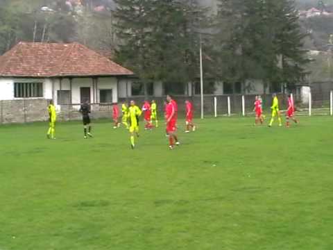 Foresta Nehoiu - Soimii Siriu ( sut Carstea)