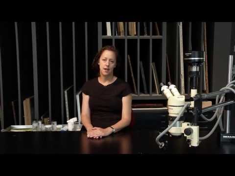 Discovering a Lost Magritte