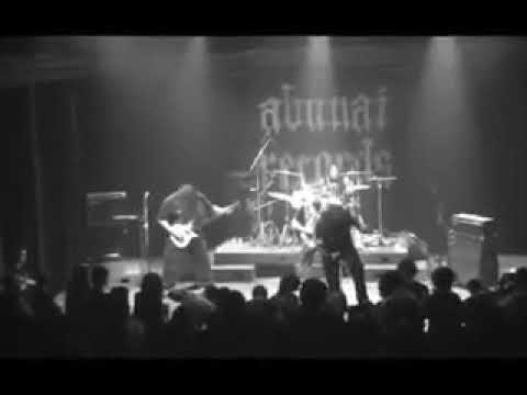 Disgrace and Terror   Gas Chamber (Official Videoclip 2009)