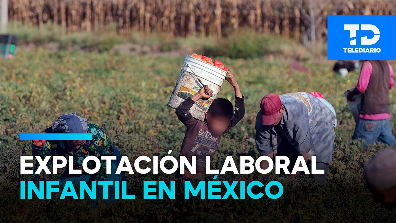 Más de 3 millones de niños y adolescentes sufren explotación laboral en México