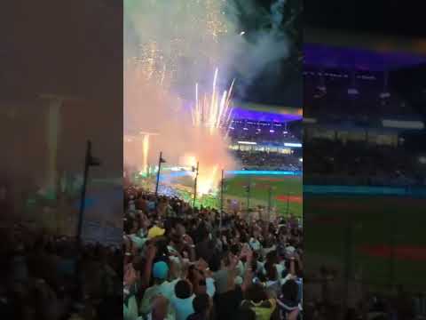 ipl #dj #cricket #ipl #cricketlover #remix #iplsong2022 #song #indianbatsman