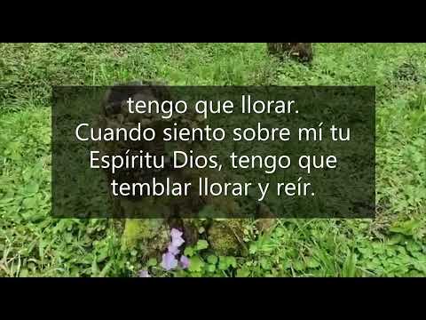 Tu Presencia En Mi - Rigoberto Amaya