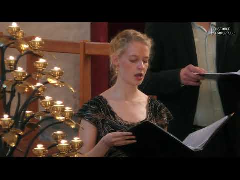 F. MENDELSSOHN | Abschied vom Walde (O Täler weit, o Höhen) | ENSEMBLE SOMMERFUGL | M. GAUL (LIVE)