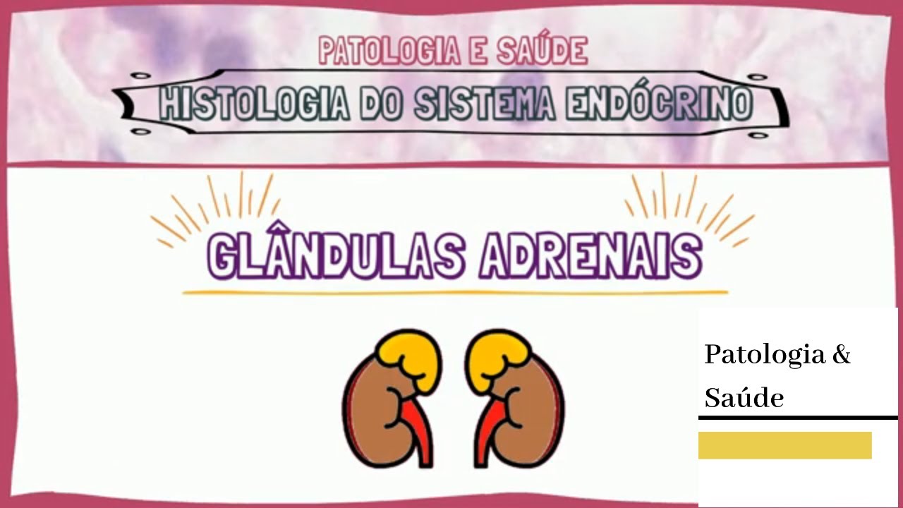 Histologia do Sistema Endócrino: Adrenais