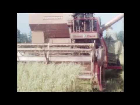 Haundrup Maskinstation 1967. Dronningborg Great Dane og Claas Senator.