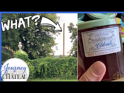 An unwelcome eyesore at the CHATEAU and a HARVEST of red currants - Journey to the Château, Ep. 106
