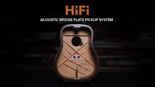 LR Baggs HiFi Video
