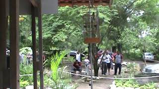 Curió La Capila - 1º lugar com repetição