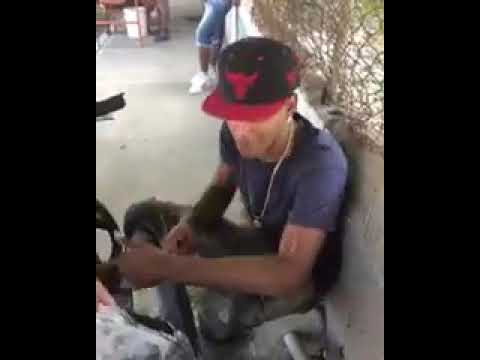 Gatillero 23 - adicto 💚