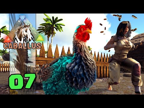 DOMAMOS UM GALO E FIZEMOS UM GALINHEIRO - ARK CABALLUS - ARK:SURVIVAL EVOLVED #07
